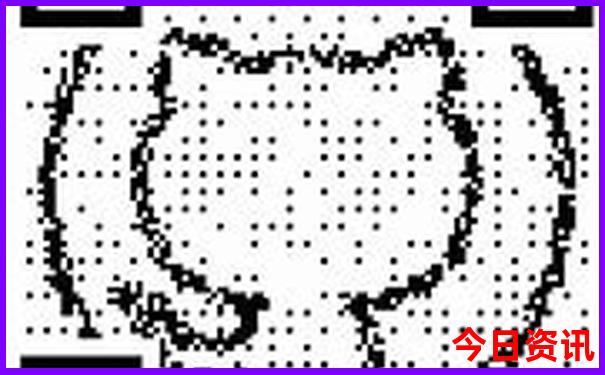 四川景区海拔排名表